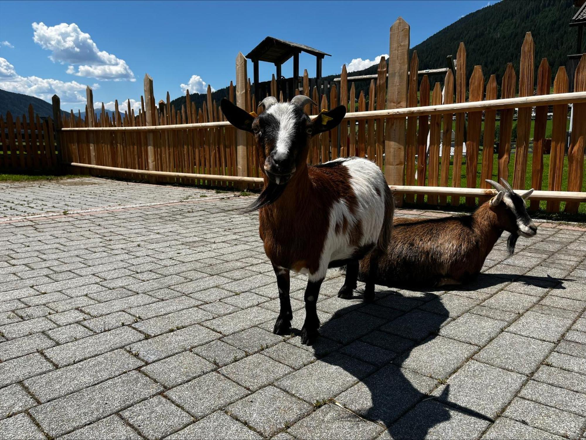 Ferienwohnung Pichlerhof Planca di Sopra Exterior foto